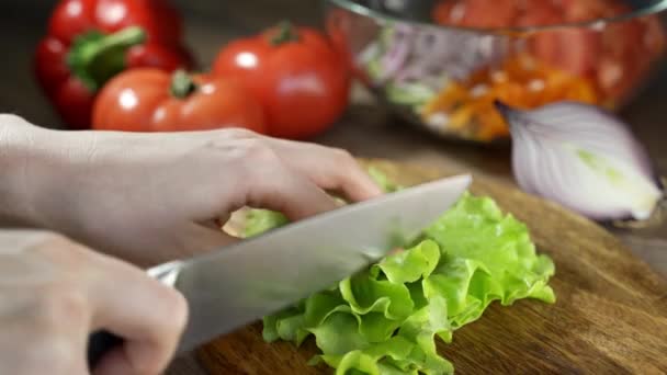 En kvinna skär en sallad mot bakgrund av sin lilla grönsaksträdgård med örter — Stockvideo