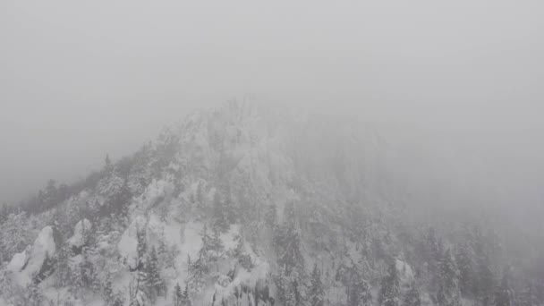 Bosque de invierno montañas tormenta hielo árbol aéreo frío — Vídeo de stock