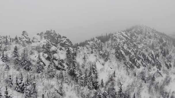 針葉樹林の降雪時の雪霧の冬の森の空中風景 — ストック動画