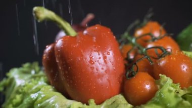 Domateslerin ve diğer sebzelerin üzerine su damlaları düşer. Kapatın. Siyah arkaplan