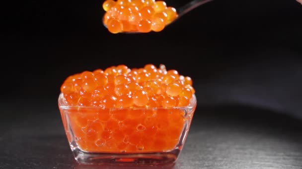 Caviar rojo grande en una taza. Estudio de toma de mano femenina caviar rojo . — Vídeo de stock