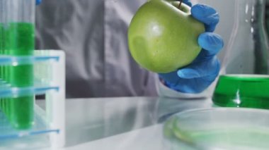Elma şırınga ve test tüpleriyle genetik mühendisliği laboratuvarında, GMO gıda konsepti