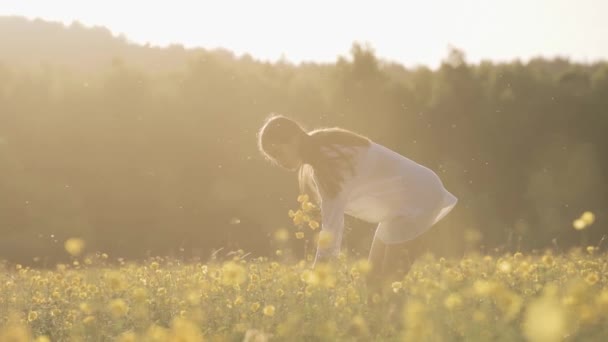 Νεαρή γυναίκα ευτυχισμένη περπατά σε ένα χωράφι με βιασμούς, και αγγίζει κίτρινα λουλούδια. — Αρχείο Βίντεο