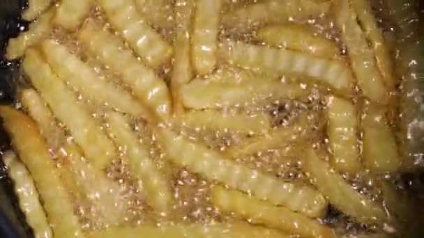 Frituuraardappelen in de frituurmand van het restaurant, frietjes, junk unhealthy fast food preparation — Stockvideo
