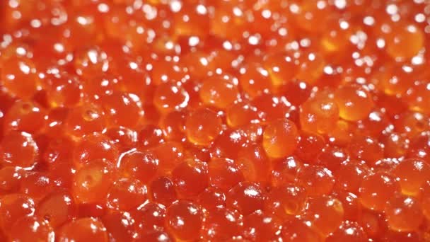 Um monte de grãos de caviar vermelho gira lentamente. Fundo macro. — Vídeo de Stock