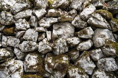 Yeşil yosunlu büyük taşlar. Taş dokusu. Doğa. Kayalardan alınan arkaplan