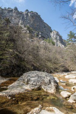 Büyük Kanyon. Ağaçların arasında kocaman bir kaya. Alt manzara. Mavi gökyüzüne karşı muhteşem manzara