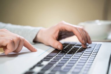 Zarif kadın elleri dizüstü bilgisayarın klavyesinde daktilo kullanıyor. Ofisteki bilgisayarın başında çalışıyorum. Meşgul ve ciddi..