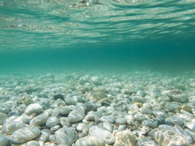 Denizin dibi taştan. Çakıl taşı kıyısı. Su altı dünyası.