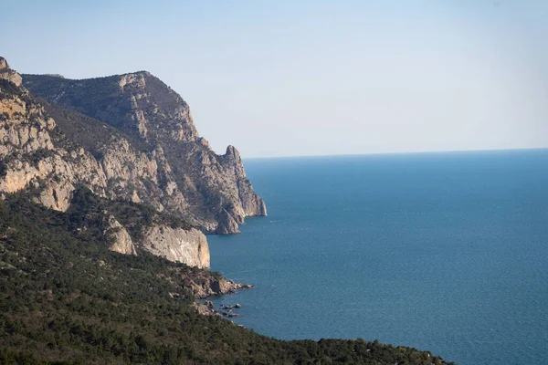 Mountain sea coast. Ocean aerial view. Trees grow on the shores of the endless blue sea. Rest abroad, tourism