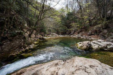 Dağ nehri ağaçlar ve büyük taşların arasında bir orman gölüne akar. Yoğun yeşil orman.