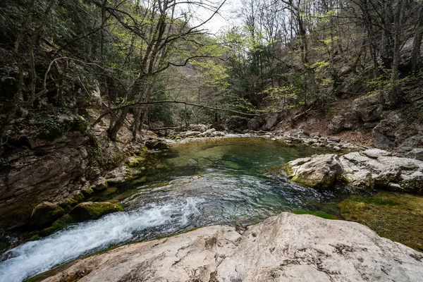 El río de montaña desemboca en un lago forestal entre árboles y grandes piedras. Bosque verde denso. Imagen de stock