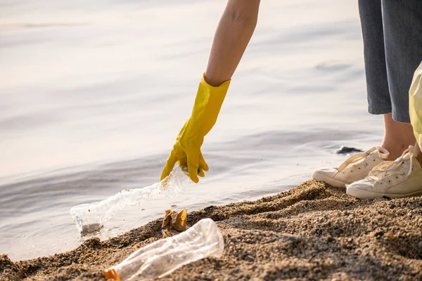 Egy női önkéntes kitakarítja a tó partját. Kiveszi az üres műanyag palackokat a vízből és egy szemeteszsákba teszi őket.. Jogdíjmentes Stock Fotók