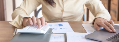 Finans veya muhasebe uzmanları, şirketin gelir-gider grafiğini analiz etmek için dizüstü bilgisayar kullanarak, oda konseptinde çalışan yönetici ve ortaklara, iş kadınlarına sunuma hazırlanıyorlar..