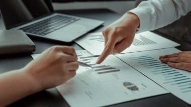 Brainstorm team, Marketer and Financial Accountan