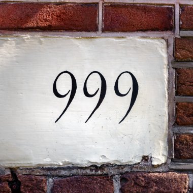 Ev numarası 999