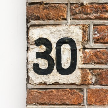 Sayı 30