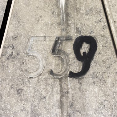 ev numarası 559