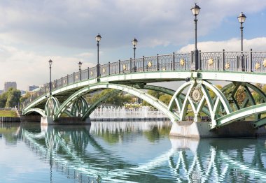 Tsaritsyno kemer Köprüsü