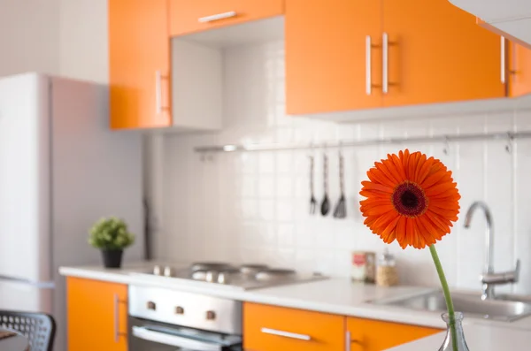 Оранжевая кухня с цветком — стоковое фото