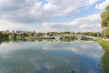 Tsaritsyno kemer Köprüsü