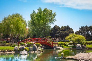 Beautiful japanese garden with red bridge under the pond in La Serena, Chile clipart