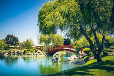 Şili, La Serena 'da gün batımında gölün altında dekoratif kırmızı köprüsü olan güzel Japon bahçesi.