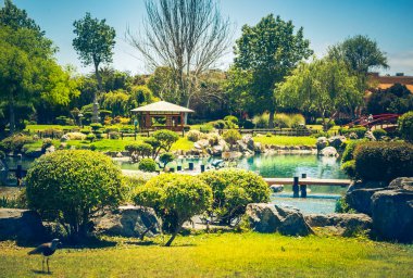 La Serena, Şili 'de yerli ağaçlı Japon bahçesi