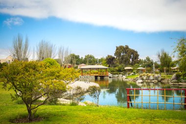 La Serena, Şili 'deki güzel Japon bahçesi