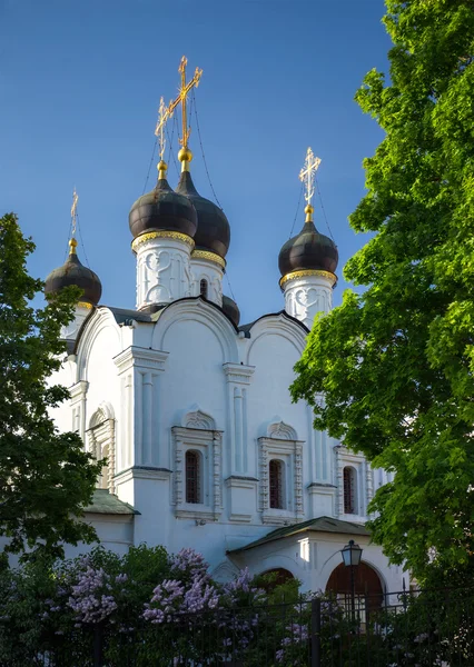 St Vladimir 教会 — 图库照片