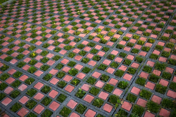 Green pavement — Stock Photo, Image