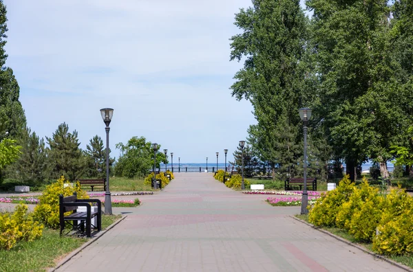 Park i Taganrog - Stock-foto