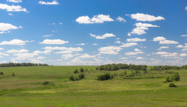 Groene landschap in Rusland — Stockfoto