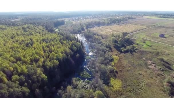 Лес и река — стоковое видео