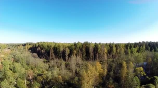 Forêt et ciel 