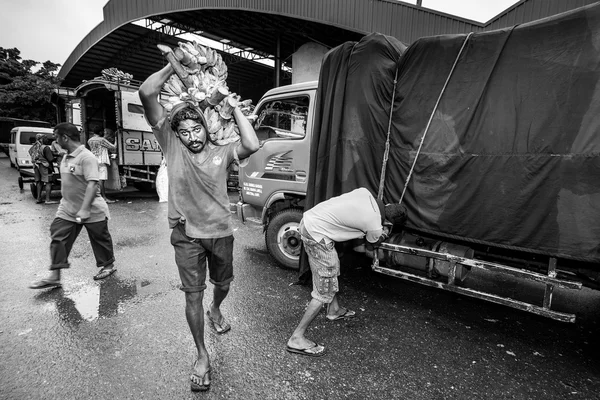 Mercado alimentar de Dambulla, Sri Lanka Imagens De Bancos De Imagens