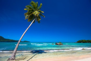 Cennet plaj Playa Rincon
