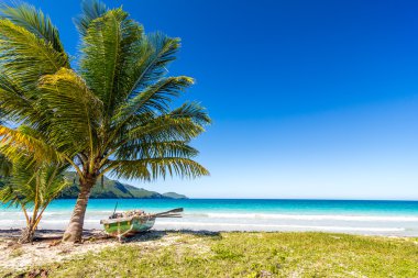 Las Galeras, Dominik Cumhuriyeti yakınlarındaki Karayipler, Playa Rincon 'un en güzel tropikal sahillerinden birinde palmiye ağaçlarıyla tekne tekne gezmek.