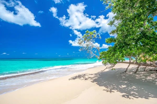 Paradies Strand playa rincon, gilt als einer der 10 Top-Strände in der Karibik, Dominikanische Republik, in der Nähe von Las Galeras — Stockfoto