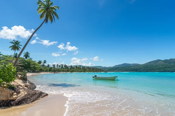 Βάρκα στην τυρκουάζ Καραϊβική Θάλασσα Playa Rincon, Δομινικανή Δημοκρατία, διακοπές, διακοπές, φοίνικες, παραλία — Φωτογραφία Αρχείου