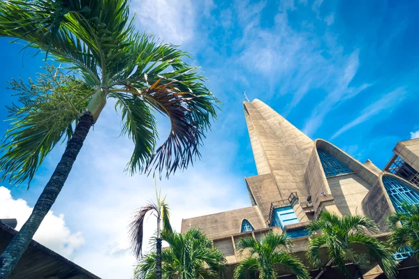 Palmera frente a basílica Iglesia de La Altagracia en Higuey, República Dominicana —  Fotos de Stock