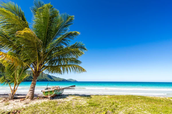 Loď u palmy na jedné z nejkrásnějších tropických pláží v Karibiku, Playa Rincon, v blízkosti Las Galeras, Dominikánská republika — Stock fotografie