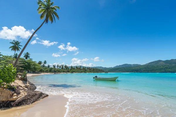 Boot auf türkisfarbenem karibischem Meer, Playa Rincon, Dominikanische Republik, Urlaub, Urlaub, Palmen, Strand lizenzfreie Stockfotos