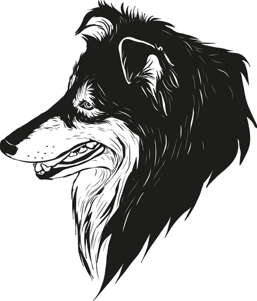 Sheltie pastor perro — Archivo Imágenes Vectoriales