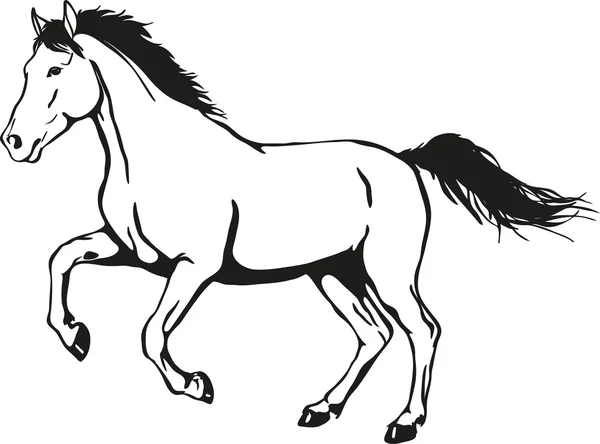 Divoký kůň — Stockový vektor