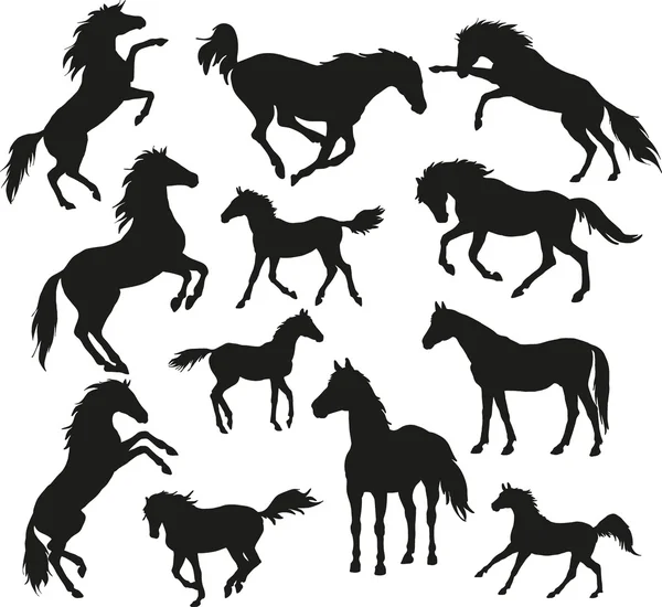 Dzikie konie Grafika Wektorowa