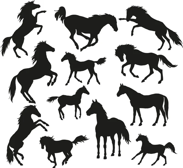 Caballos salvajes Gráficos vectoriales