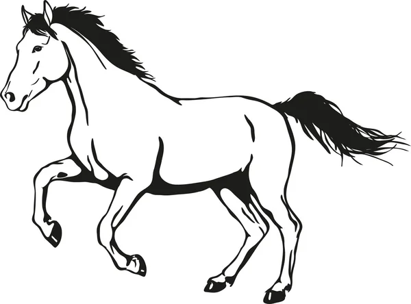 Caballo salvaje Vector de stock