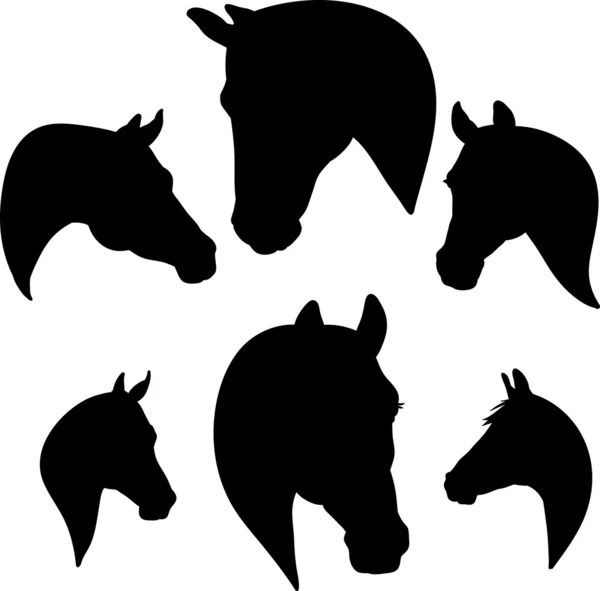 Silueta de la cabeza de un caballo Ilustraciones de stock libres de derechos