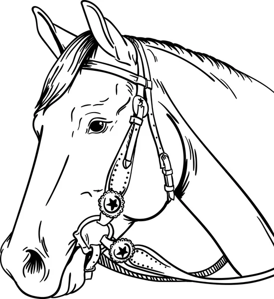 Caballo occidental — Vector de stock